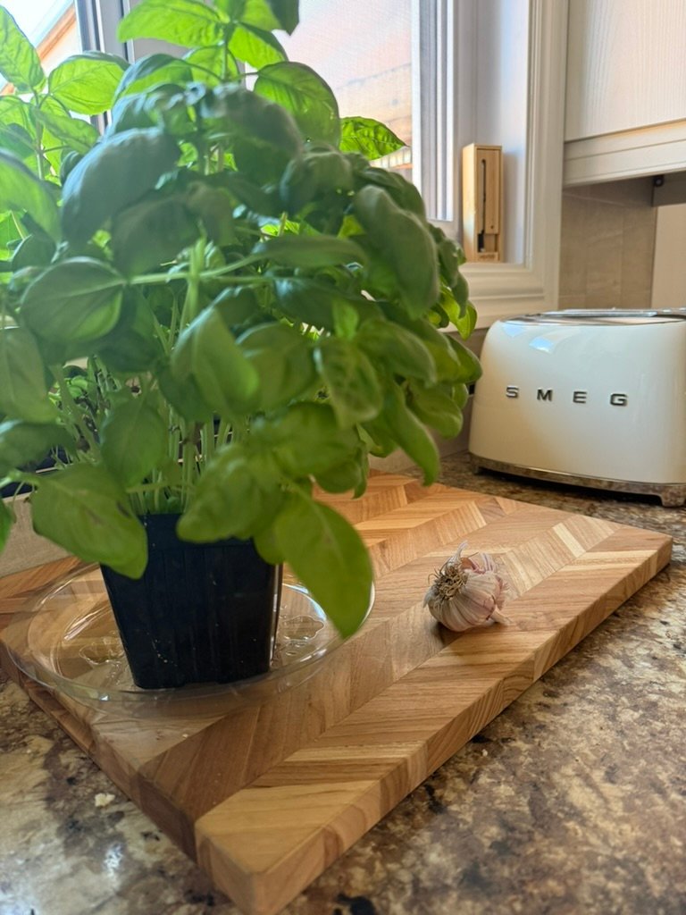 Pesto base