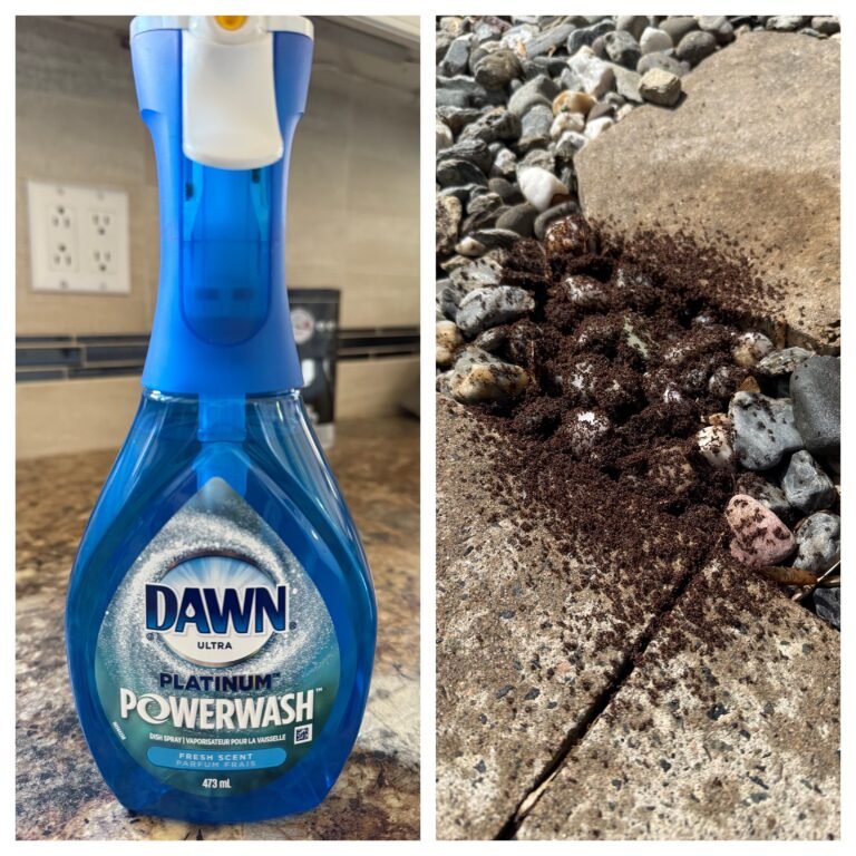 Tuer mini fourmis